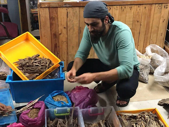 عطور طه سيد